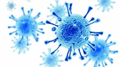 ✔ سلامتی و کرونا تضاد یا تعامل